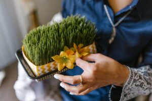 A close-up of wheatgrass and flowers held by a woman during Nowruz celebrations.